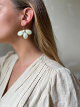 Load image into Gallery viewer, Rosières