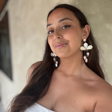 Load image into Gallery viewer, Aotea